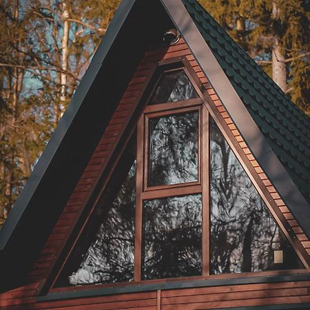 Lesny Dwor Villa Janowice Wielkie Ngoại thất bức ảnh