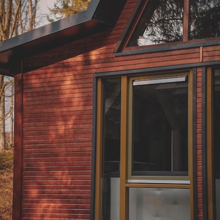 Lesny Dwor Villa Janowice Wielkie Ngoại thất bức ảnh