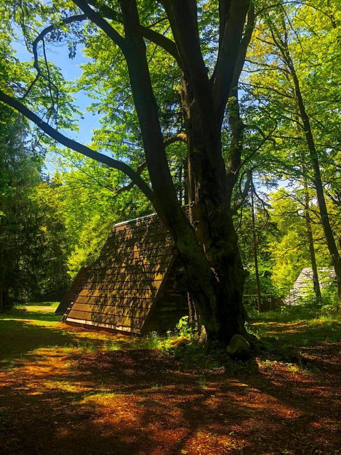Lesny Dwor Villa Janowice Wielkie Ngoại thất bức ảnh