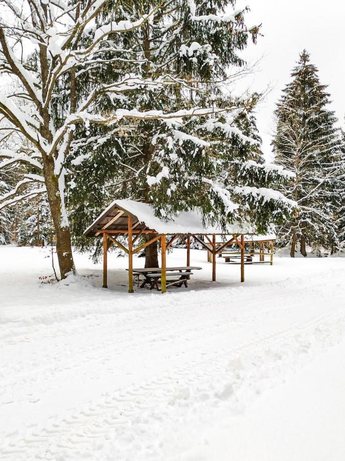 Lesny Dwor Villa Janowice Wielkie Ngoại thất bức ảnh