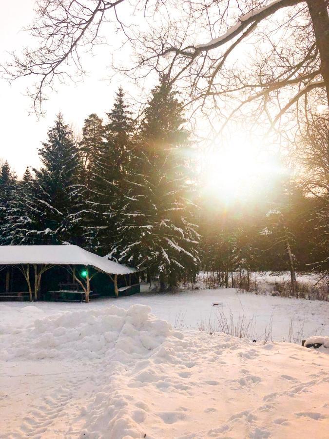 Lesny Dwor Villa Janowice Wielkie Ngoại thất bức ảnh