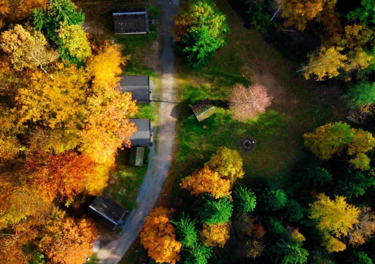 Lesny Dwor Villa Janowice Wielkie Ngoại thất bức ảnh