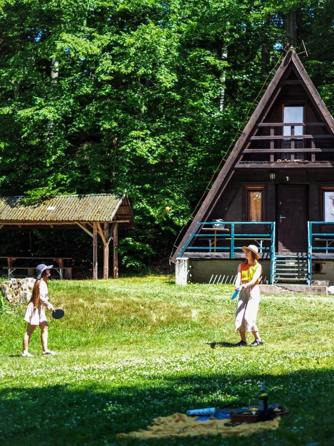 Lesny Dwor Villa Janowice Wielkie Ngoại thất bức ảnh
