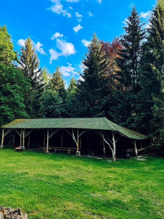Lesny Dwor Villa Janowice Wielkie Ngoại thất bức ảnh