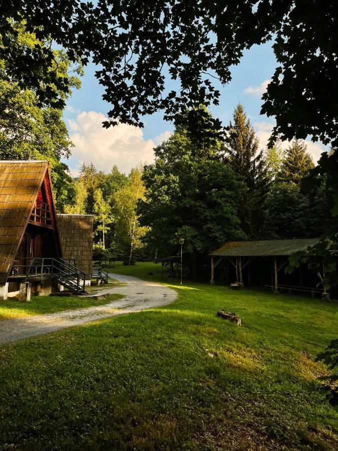 Lesny Dwor Villa Janowice Wielkie Ngoại thất bức ảnh