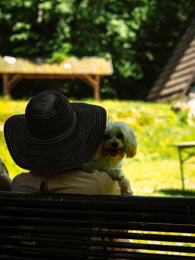 Lesny Dwor Villa Janowice Wielkie Ngoại thất bức ảnh