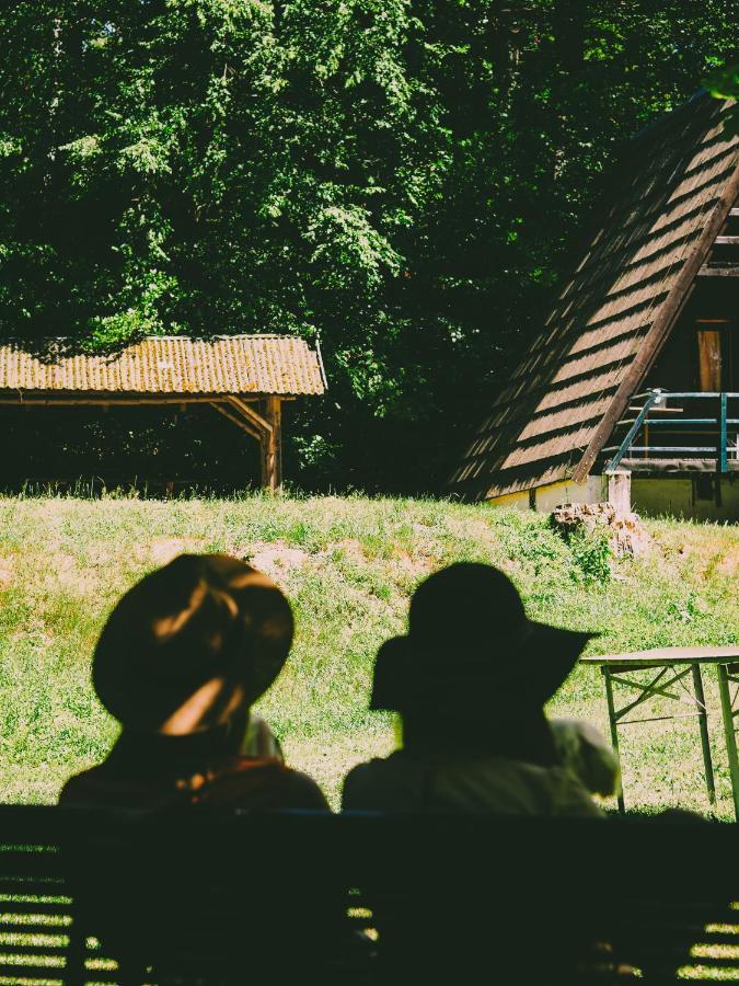 Lesny Dwor Villa Janowice Wielkie Ngoại thất bức ảnh