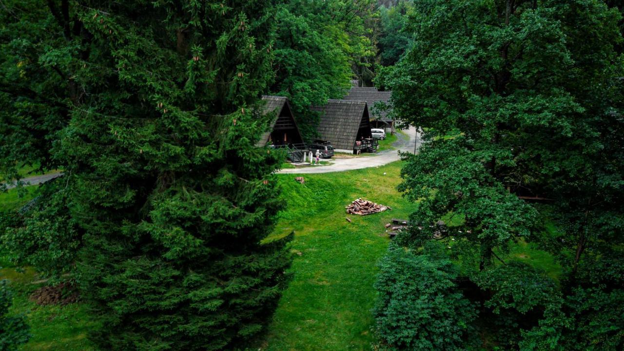 Lesny Dwor Villa Janowice Wielkie Ngoại thất bức ảnh